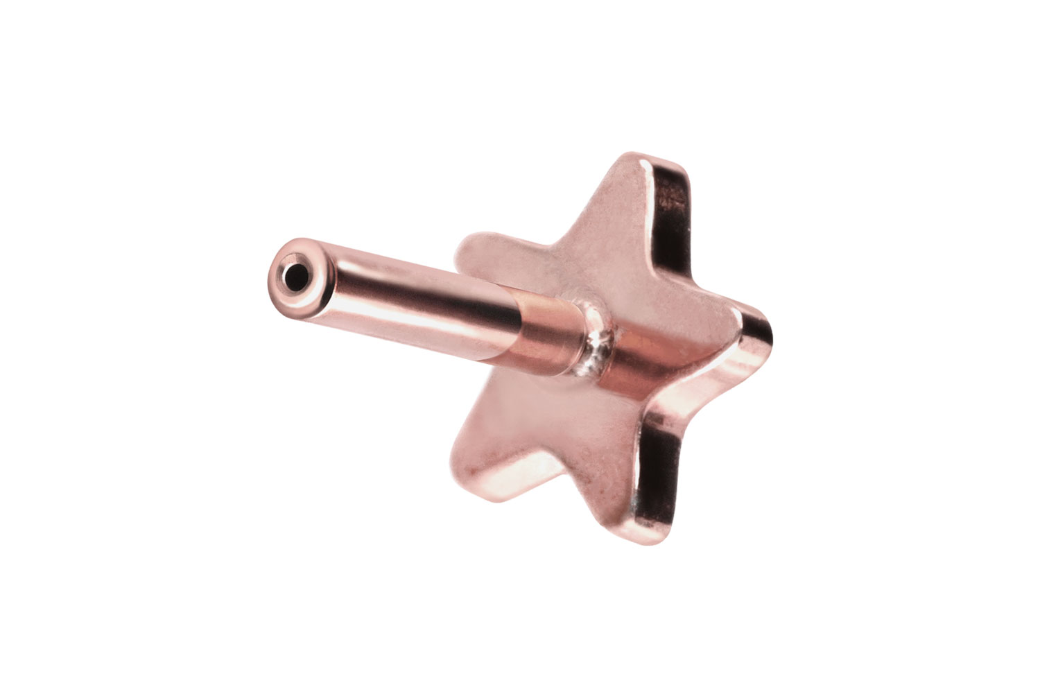 Titan Labret Piercing mit Push Fit ohne Kugel STERN
